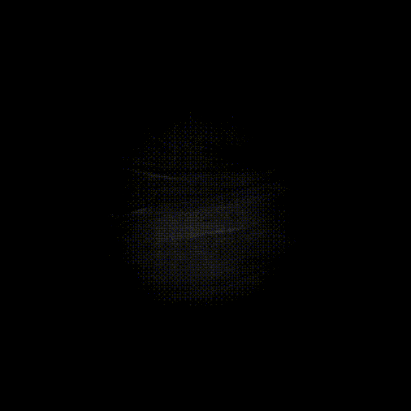 Vecchia Orsa gif