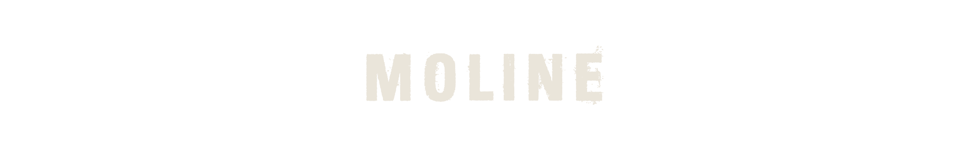 https://www.vecchiaorsa.it/wordpress/wp-content/uploads/2026/02/moline.png